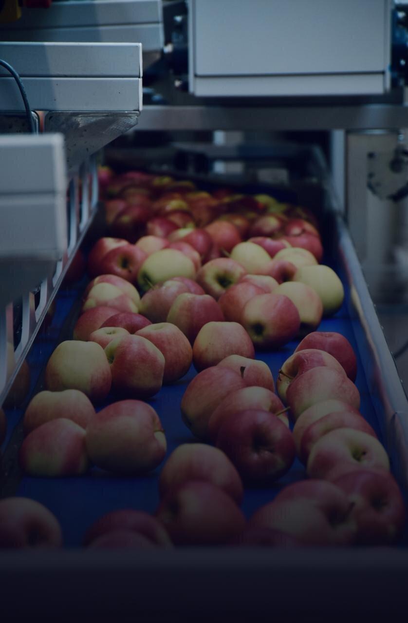 tri-automatique-fruits-agroalimentaire